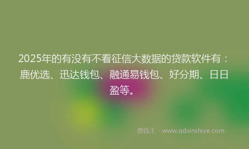 2025年的有没有不看征信大数据的贷款软件有：鹿优选、迅达钱包、融通易钱包、好分期、日日盈等。