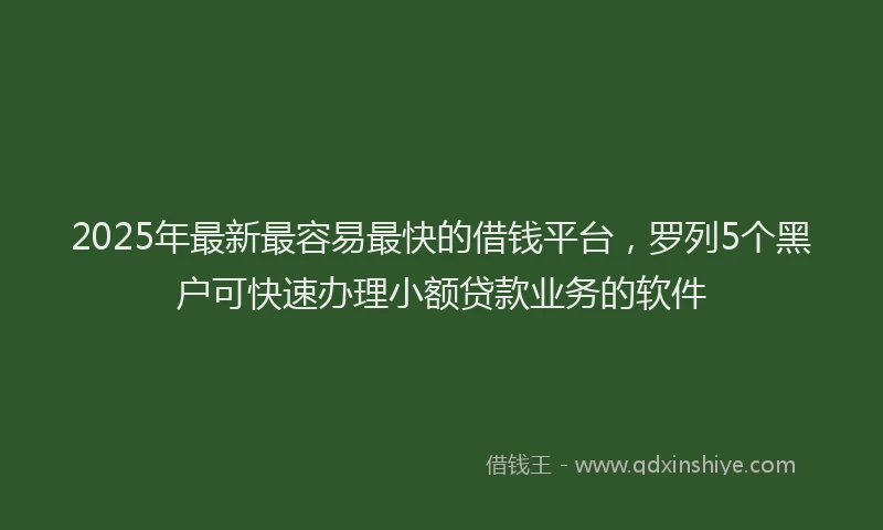 2025年最新最容易最快的借钱平台，罗列5个黑户可快速办理小额贷款业务的软件