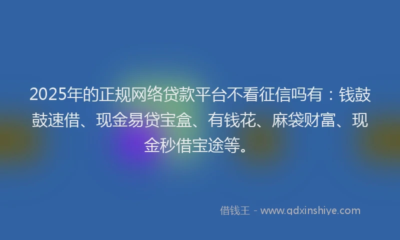 2025年的正规网络贷款平台不看征信吗有：钱鼓鼓速借、现金易贷宝盒、有钱花、麻袋财富、现金秒借宝途等。