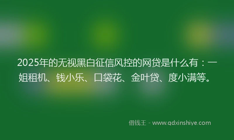 2025年的无视黑白征信风控的网贷是什么有：一姐租机、钱小乐、口袋花、金叶贷、度小满等。