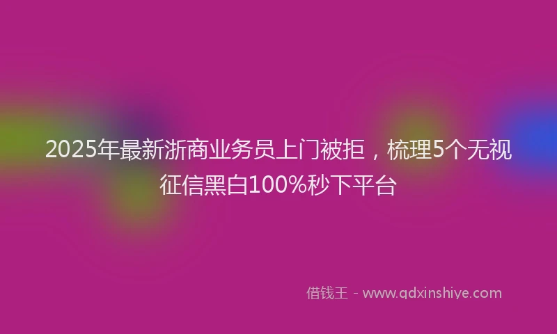 2025年最新浙商业务员上门被拒，梳理5个无视征信黑白100%秒下平台