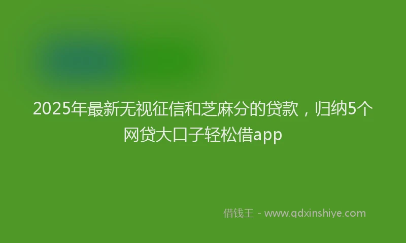 2025年最新无视征信和芝麻分的贷款，归纳5个网贷大口子轻松借app