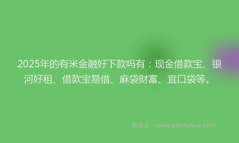 2025年的有米金融好下款吗有：现金借款宝、银河好租、借款宝易借、麻袋财富、宜口袋等。
