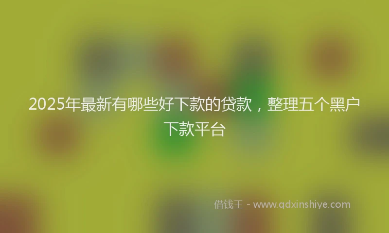 2025年最新有哪些好下款的贷款，整理五个黑户下款平台
