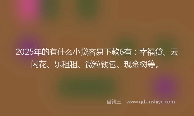 2025年的有什么小贷容易下款6有：幸福贷、云闪花、乐租租、微粒钱包、现金树等。