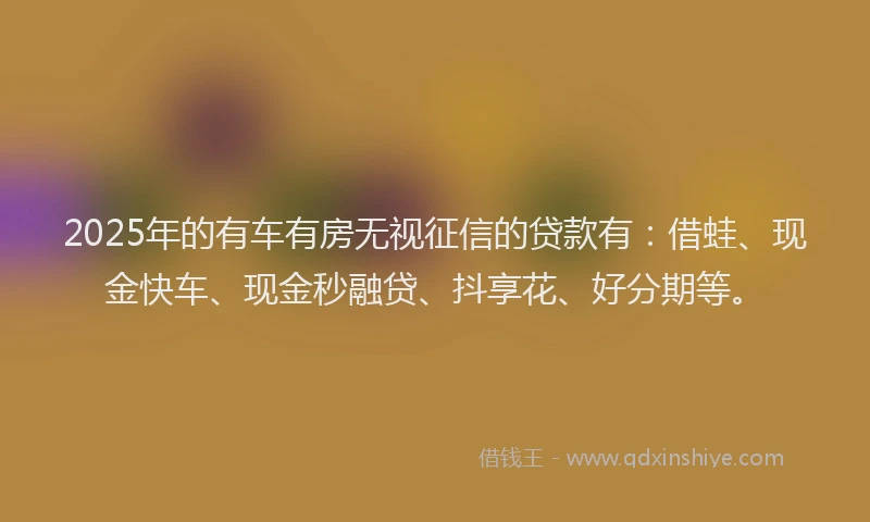 2025年的有车有房无视征信的贷款有：借蛙、现金快车、现金秒融贷、抖享花、好分期等。