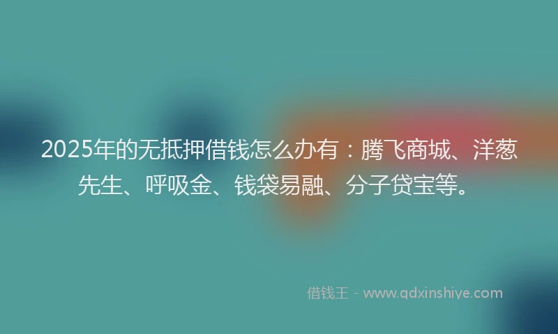 2025年的无抵押借钱怎么办有：腾飞商城、洋葱先生、呼吸金、钱袋易融、分子贷宝等。