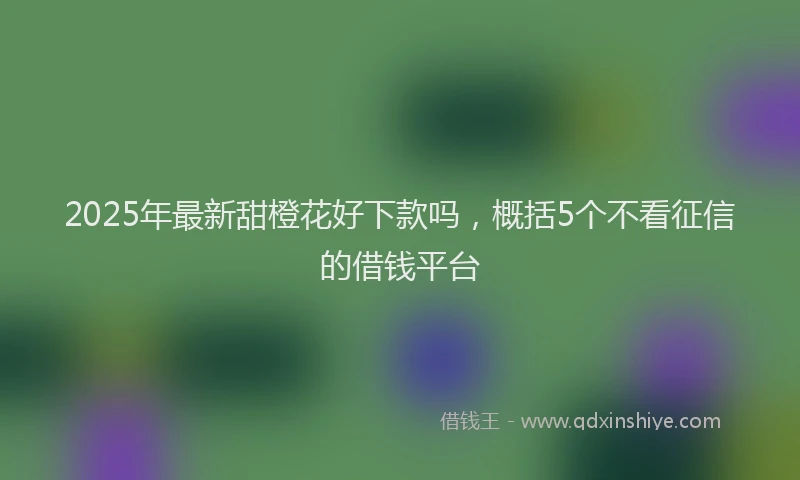 2025年最新甜橙花好下款吗，概括5个不看征信的借钱平台