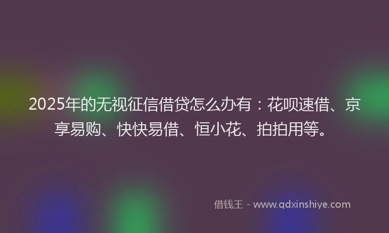 2025年的无视征信借贷怎么办有：花呗速借、京享易购、快快易借、恒小花、拍拍用等。
