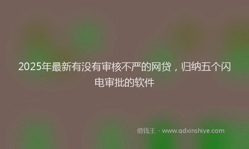 2025年最新有没有审核不严的网贷，归纳五个闪电审批的软件