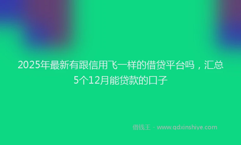 2025年最新有跟信用飞一样的借贷平台吗，汇总5个12月能贷款的口子