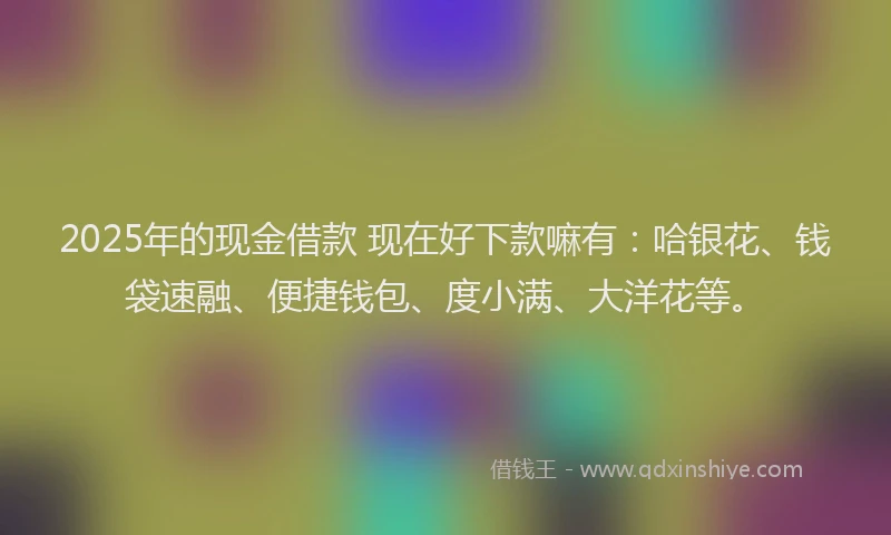 2025年的现金借款 现在好下款嘛有：哈银花、钱袋速融、便捷钱包、度小满、大洋花等。