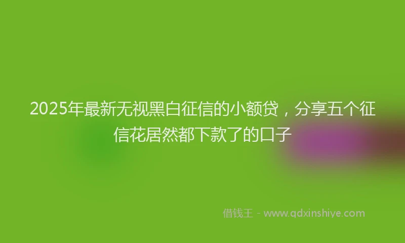 2025年最新无视黑白征信的小额贷，分享五个征信花居然都下款了的口子