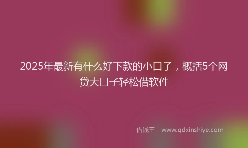 2025年最新有什么好下款的小口子，概括5个网贷大口子轻松借软件