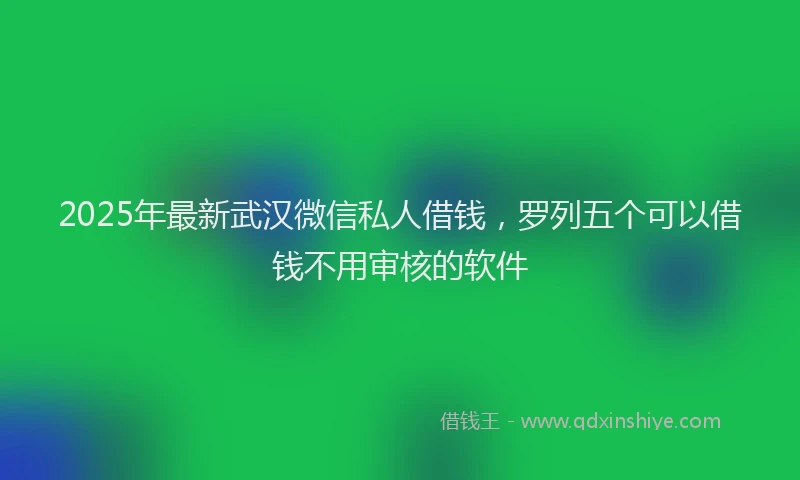 2025年最新武汉微信私人借钱，罗列五个可以借钱不用审核的软件