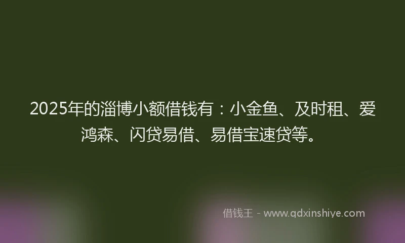 2025年的淄博小额借钱有：小金鱼、及时租、爱鸿森、闪贷易借、易借宝速贷等。