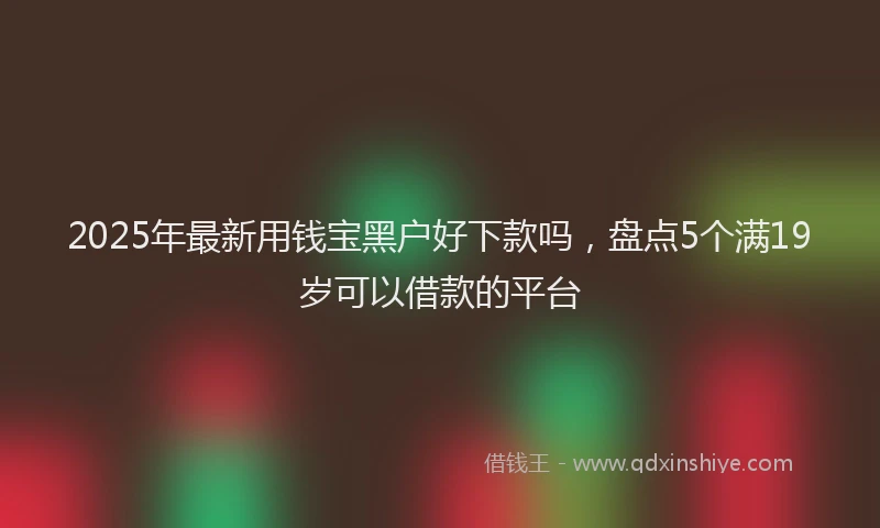 2025年最新用钱宝黑户好下款吗，盘点5个满19岁可以借款的平台