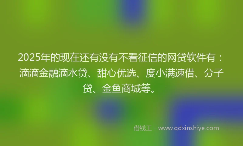 2025年的现在还有没有不看征信的网贷软件有：滴滴金融滴水贷、甜心优选、度小满速借、分子贷、金鱼商城等。