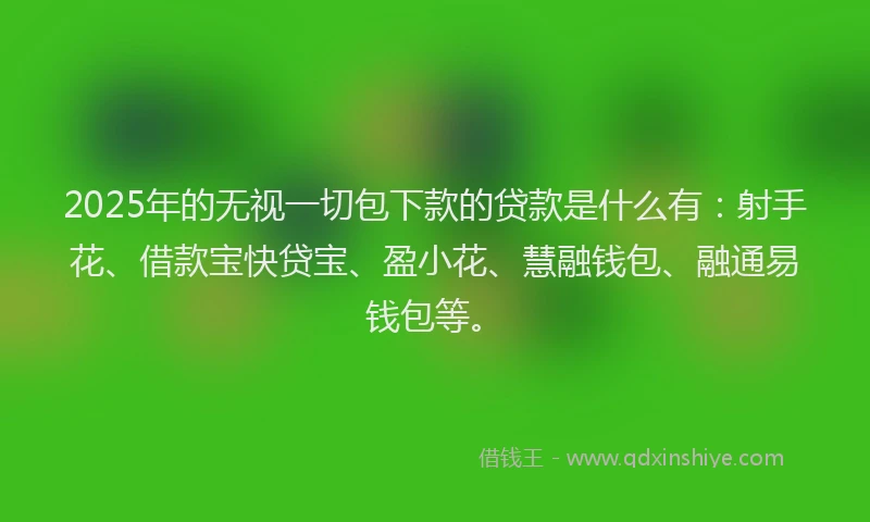 2025年的无视一切包下款的贷款是什么有：射手花、借款宝快贷宝、盈小花、慧融钱包、融通易钱包等。