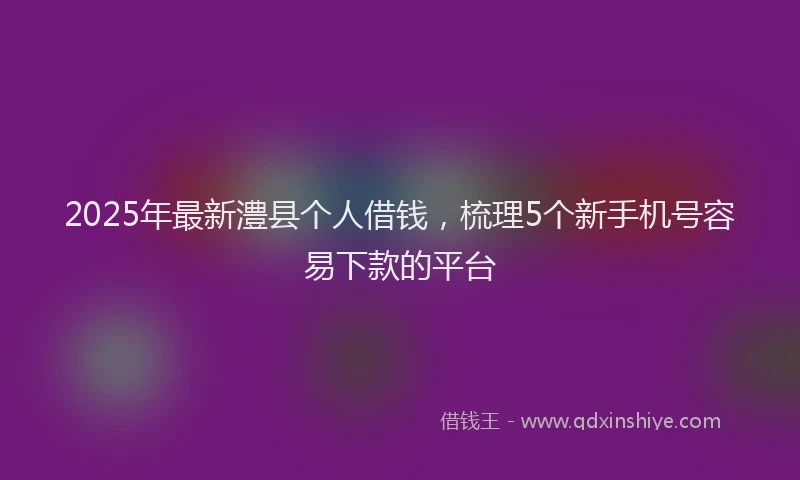 2025年最新澧县个人借钱，梳理5个新手机号容易下款的平台