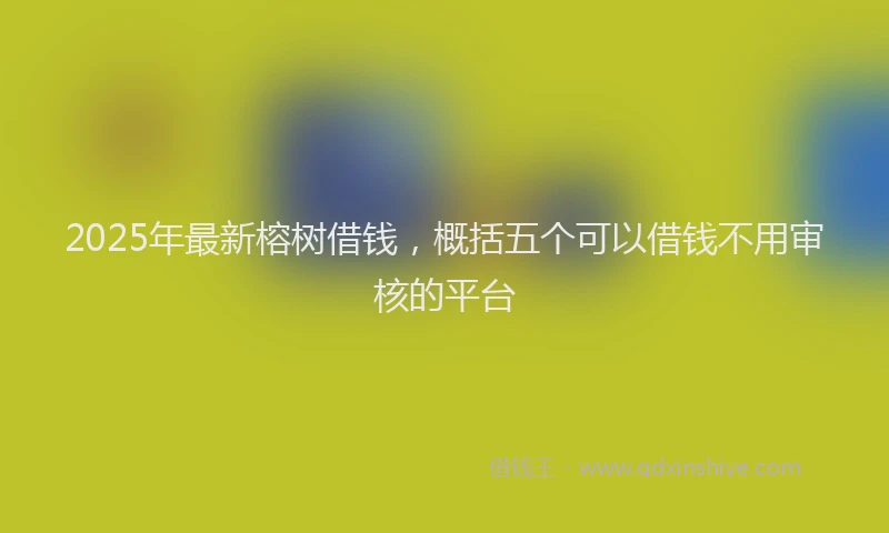 2025年最新榕树借钱，概括五个可以借钱不用审核的平台