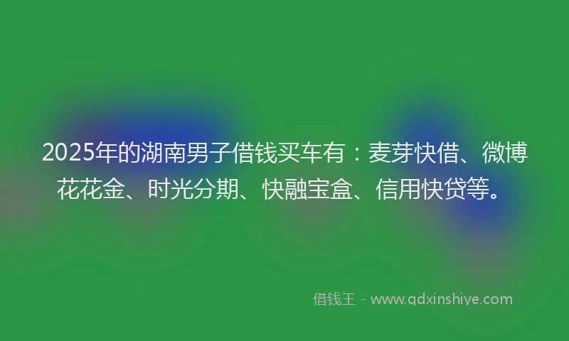 2025年的湖南男子借钱买车有：麦芽快借、微博花花金、时光分期、快融宝盒、信用快贷等。