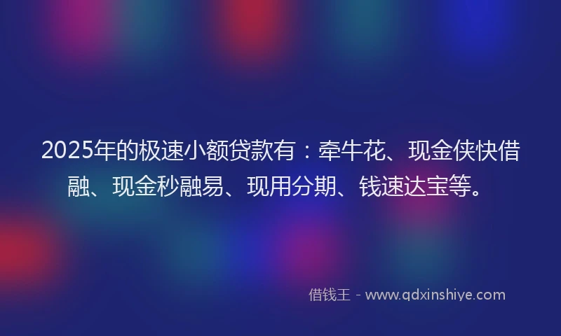 2025年的极速小额贷款有：牵牛花、现金侠快借融、现金秒融易、现用分期、钱速达宝等。