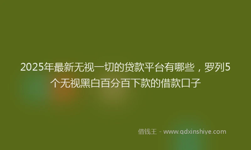 2025年最新无视一切的贷款平台有哪些，罗列5个无视黑白百分百下款的借款口子