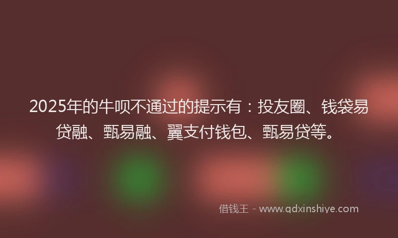 2025年的牛呗不通过的提示有：投友圈、钱袋易贷融、甄易融、翼支付钱包、甄易贷等。