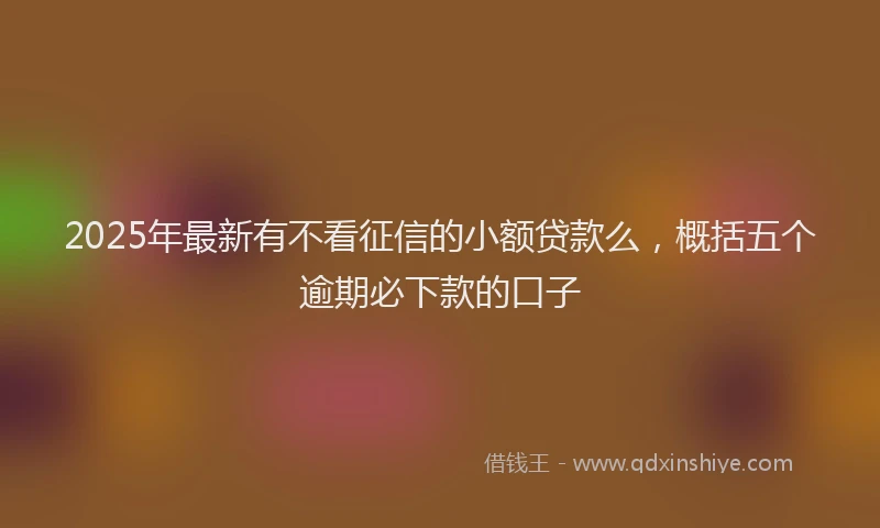 2025年最新有不看征信的小额贷款么，概括五个逾期必下款的口子