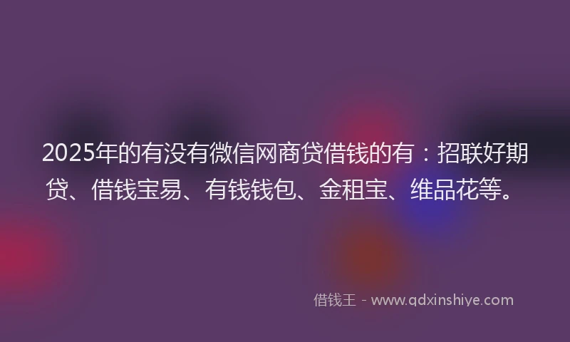 2025年的有没有微信网商贷借钱的有：招联好期贷、借钱宝易、有钱钱包、金租宝、维品花等。