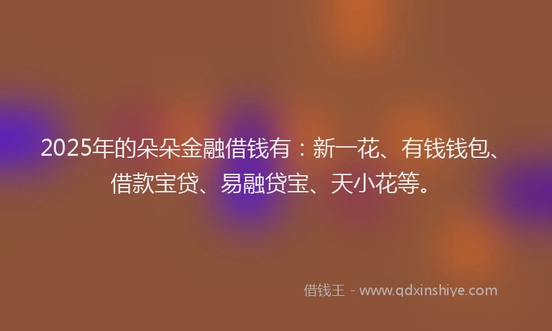 2025年的朵朵金融借钱有：新一花、有钱钱包、借款宝贷、易融贷宝、天小花等。