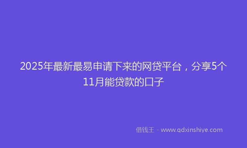 2025年最新最易申请下来的网贷平台，分享5个11月能贷款的口子