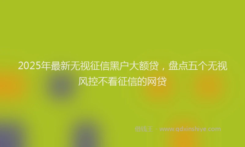 2025年最新无视征信黑户大额贷，盘点五个无视风控不看征信的网贷
