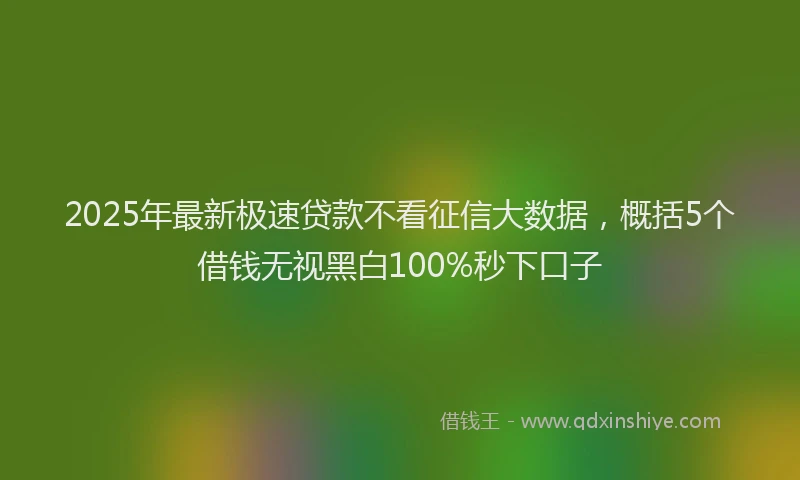2025年最新极速贷款不看征信大数据，概括5个借钱无视黑白100%秒下口子