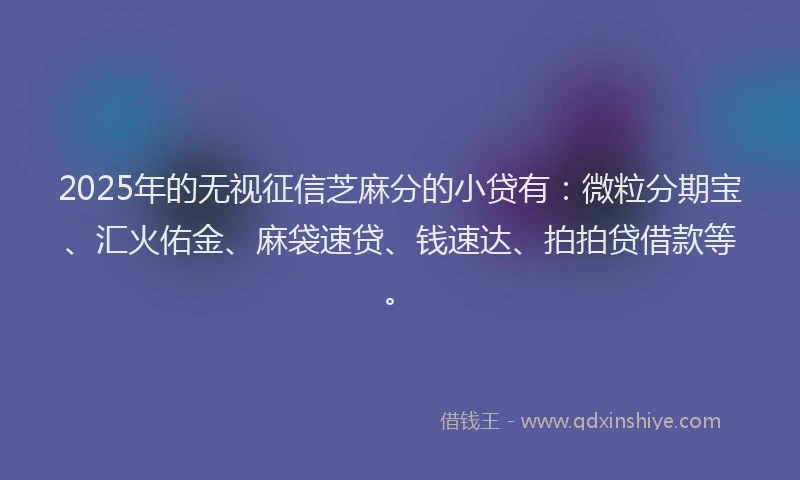 2025年的无视征信芝麻分的小贷有：微粒分期宝、汇火佑金、麻袋速贷、钱速达、拍拍贷借款等。