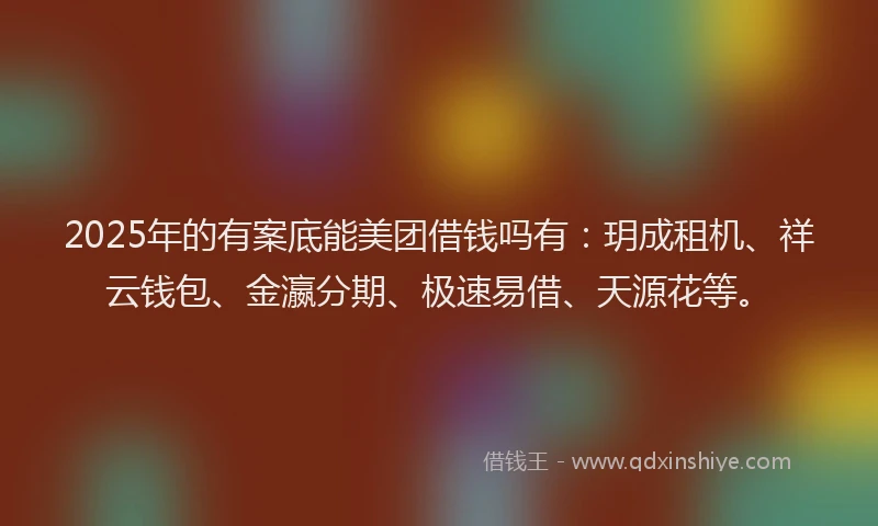 2025年的有案底能美团借钱吗有：玥成租机、祥云钱包、金瀛分期、极速易借、天源花等。