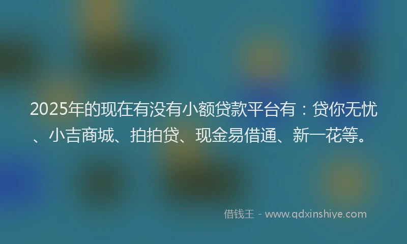2025年的现在有没有小额贷款平台有：贷你无忧、小吉商城、拍拍贷、现金易借通、新一花等。