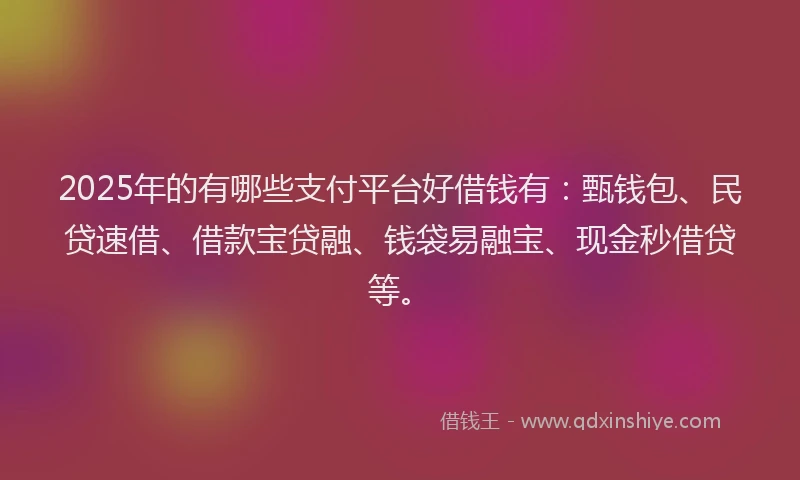 2025年的有哪些支付平台好借钱有：甄钱包、民贷速借、借款宝贷融、钱袋易融宝、现金秒借贷等。