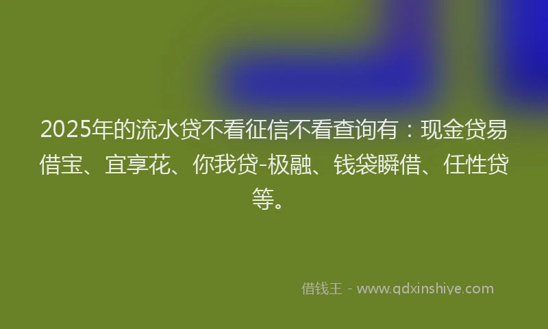 2025年的流水贷不看征信不看查询有：现金贷易借宝、宜享花、你我贷-极融、钱袋瞬借、任性贷等。