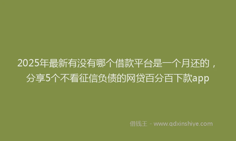2025年最新有没有哪个借款平台是一个月还的，分享5个不看征信负债的网贷百分百下款app