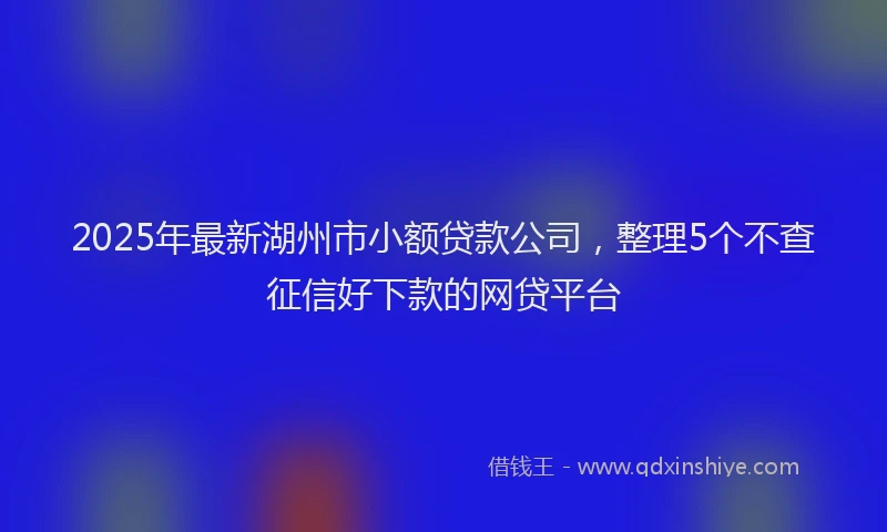 2025年最新湖州市小额贷款公司，整理5个不查征信好下款的网贷平台