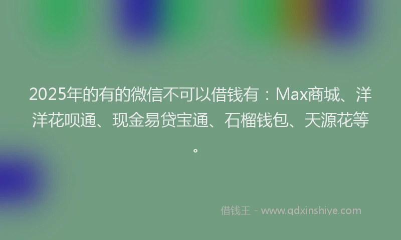 2025年的有的微信不可以借钱有：Max商城、洋洋花呗通、现金易贷宝通、石榴钱包、天源花等。