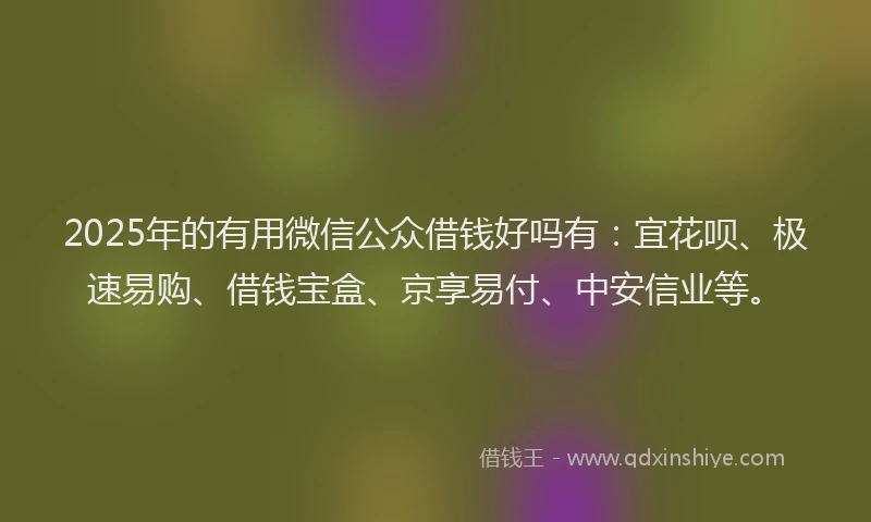 2025年的有用微信公众借钱好吗有：宜花呗、极速易购、借钱宝盒、京享易付、中安信业等。