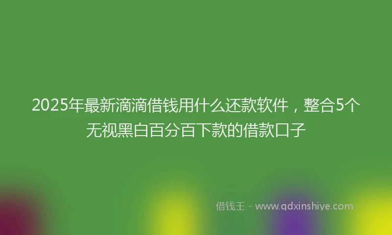 2025年最新滴滴借钱用什么还款软件，整合5个无视黑白百分百下款的借款口子