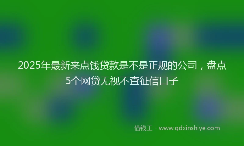 2025年最新来点钱贷款是不是正规的公司，盘点5个网贷无视不查征信口子