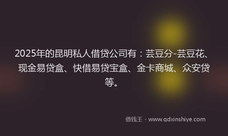 2025年的昆明私人借贷公司有：芸豆分-芸豆花、现金易贷盒、快借易贷宝盒、金卡商城、众安贷等。