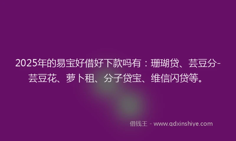 2025年的易宝好借好下款吗有：珊瑚贷、芸豆分-芸豆花、萝卜租、分子贷宝、维信闪贷等。