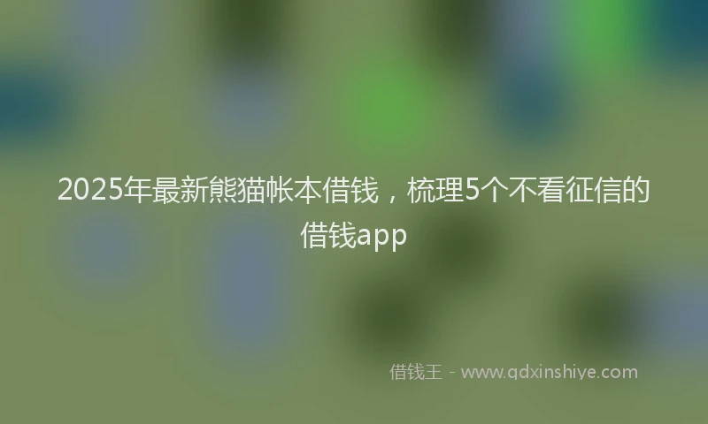 2025年最新熊猫帐本借钱，梳理5个不看征信的借钱app