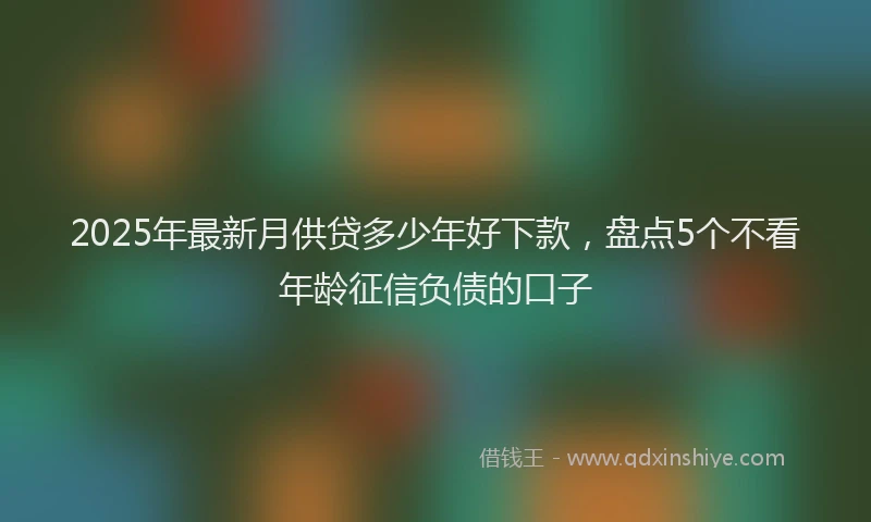 2025年最新月供贷多少年好下款，盘点5个不看年龄征信负债的口子